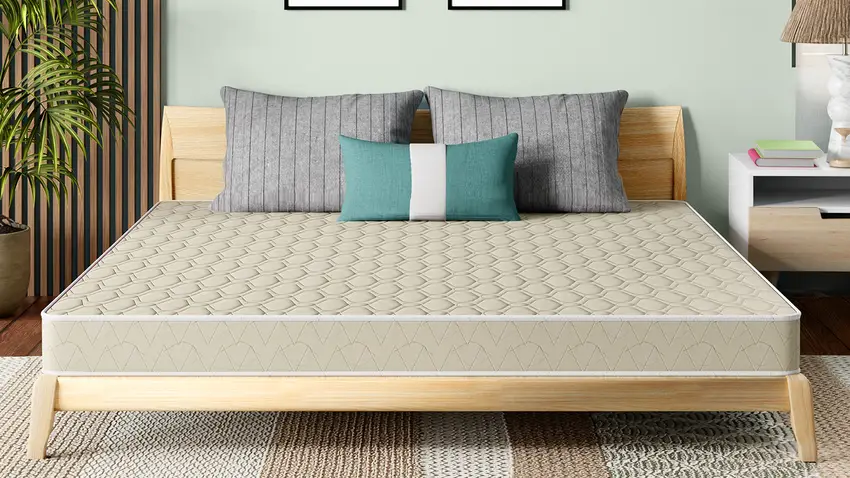 Godrej Latex Mattress